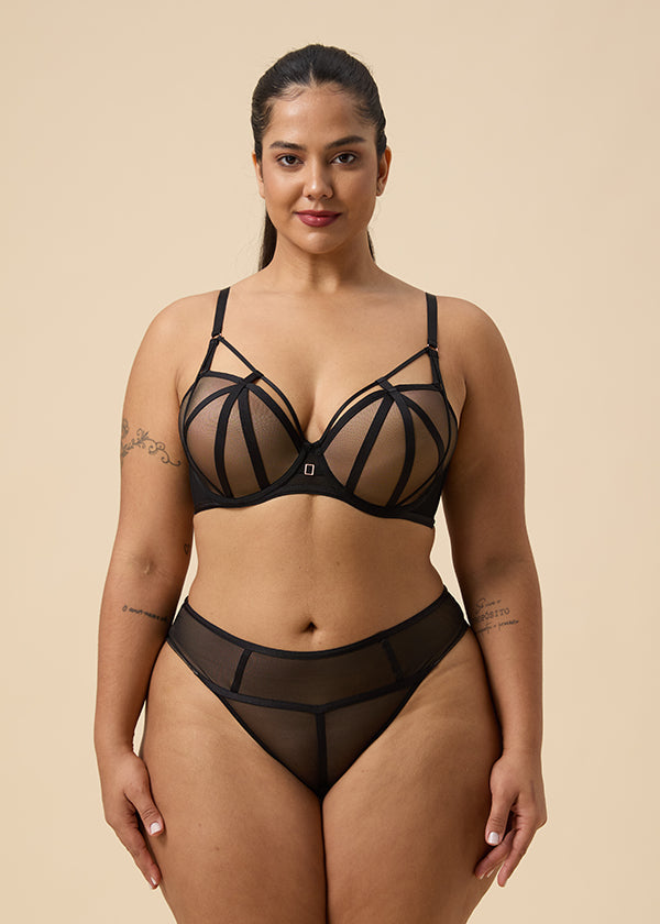 ANN Black High-Waisted Mesh Hipster Panties-imgsize-XL