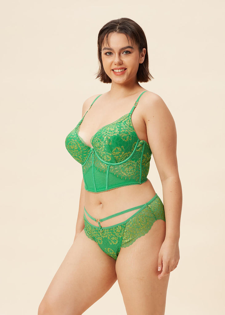 SHARON Sexy Lace Brief Panties-imgsize-XL