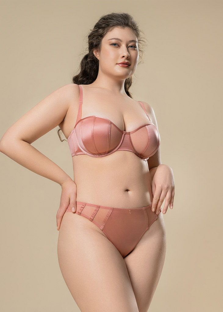 AVA Plus Sexy Pink Mesh Tanga Panties